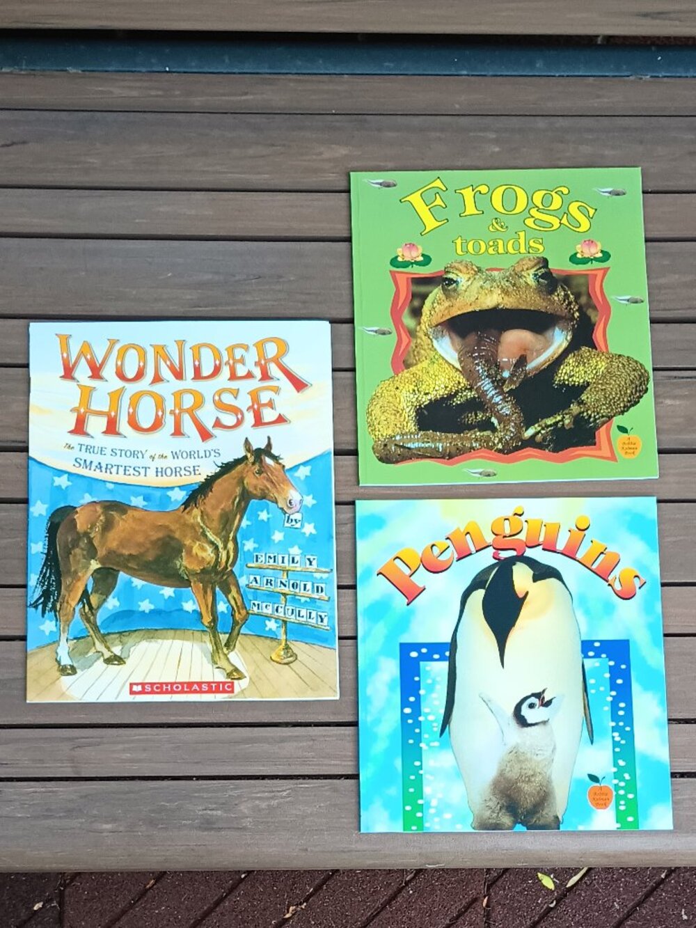 BRAND NEW!! Various Children's Picture Books ~ Selling 5 paperback books for $20